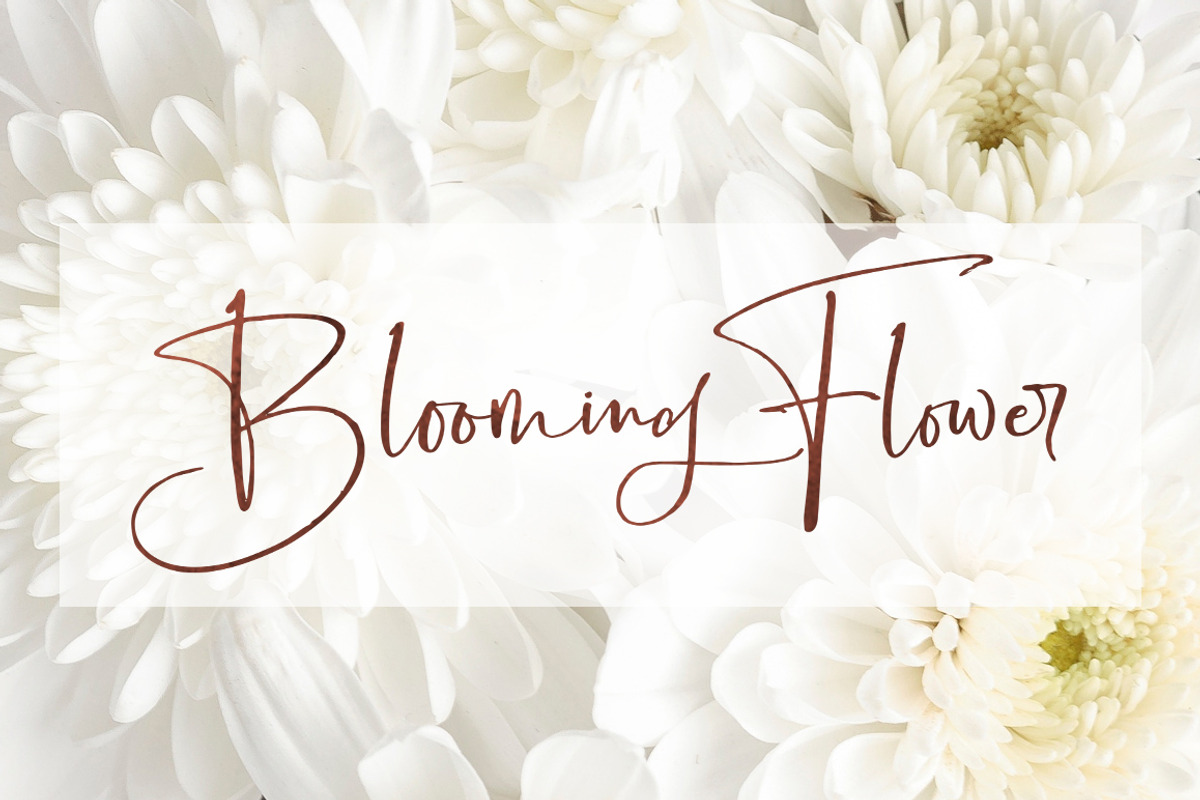 Boisterous Signature, a Script Font by Dhan Studio (Photo 20 of 24)