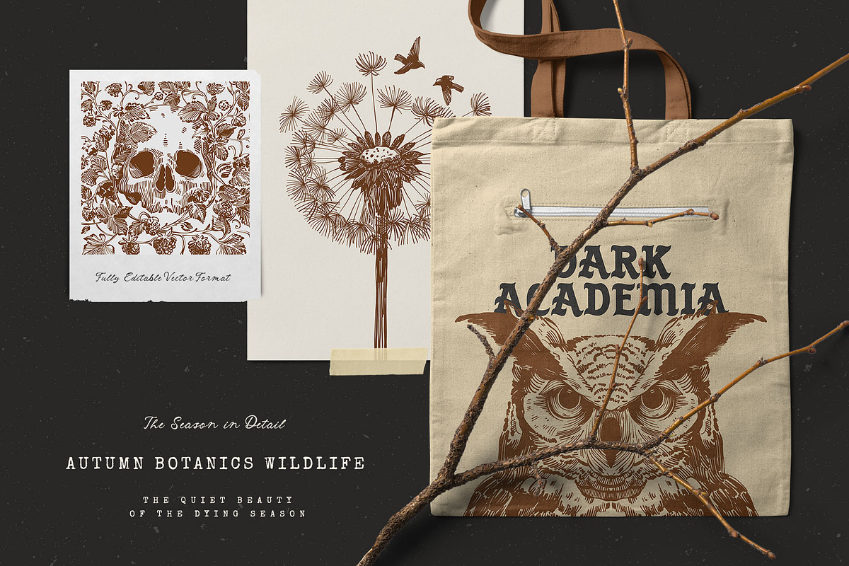 Dark Academia Autumn | Illustration, an Object Illustration by KetteCreate (Photo 5 of 18)
