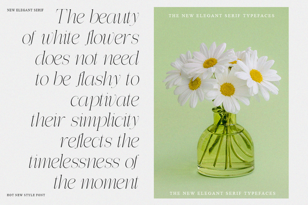 Effidhem Mevagen | 18 Font Files, a Serif Font by IM Studio (Photo 2 of 14)
