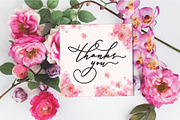 Beautiline Script, a Script Font by Sulthan Studio (Thumbnail 11 of 11)