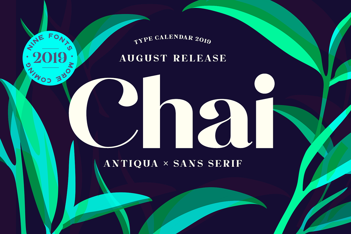 Type Calendar 2019 | Font Bundle preview 7