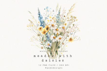 Meadow with Daisies, a Decorative Illustration by PeDe Designs