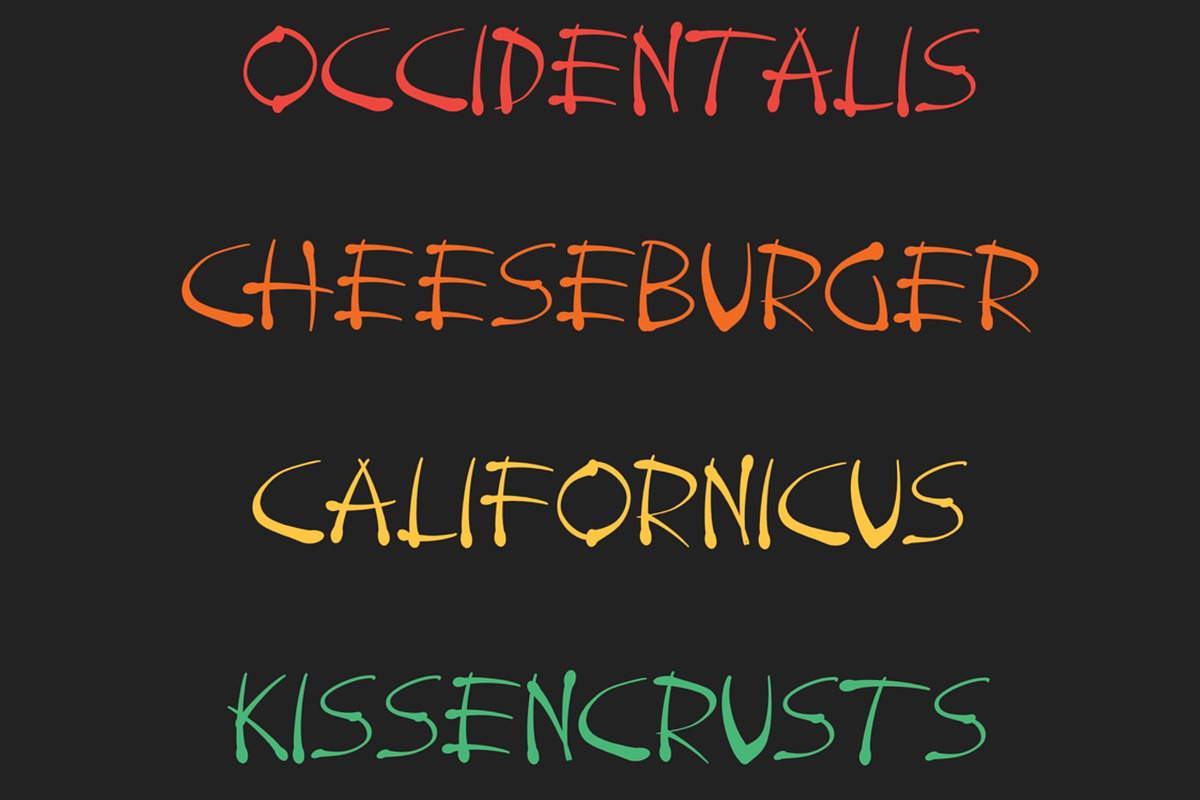 Tokyo City Handwritten Display Font, a Font by Megasetcollections (Photo 10 of 20)