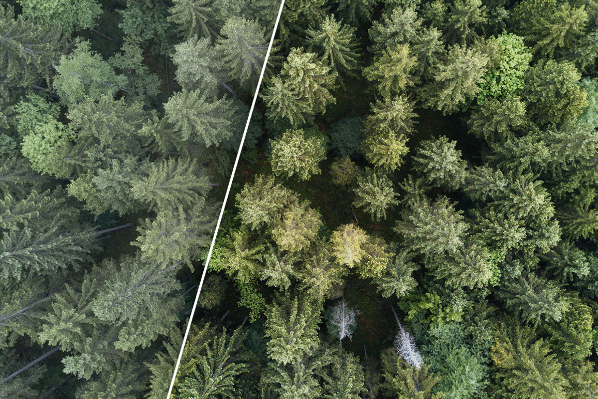 DJI Mavic 1 & 2 Lightroom Presets, an Action Add-On by PhotoMarket (Photo 12 of 36)