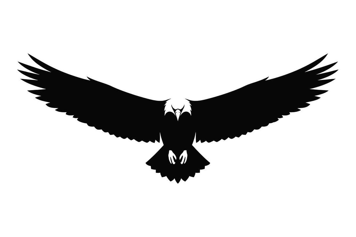 50 Flying Eagle Silhouette Vector Bu, an Illustration by Designs_River (Photo 13 of 51)