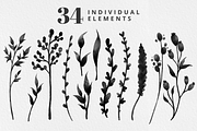 Fleur Noir - Black Watercolor Floral, an Illustration by Brandi Lea Designs (Thumbnail 2 of 9)