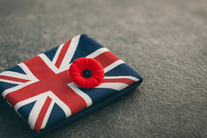 Armistice Remembrance Day with Union, a Photo by Dvoevnore photos