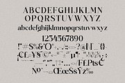 Mathilga Ligature Serif Typeface, a Serif Font by Storytype Studio (Thumbnail 12 of 15)