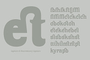 Sichra Typeface - Relaxed Slab Serif, a Slab Serif Font by Khoir (Thumbnail 8 of 13)