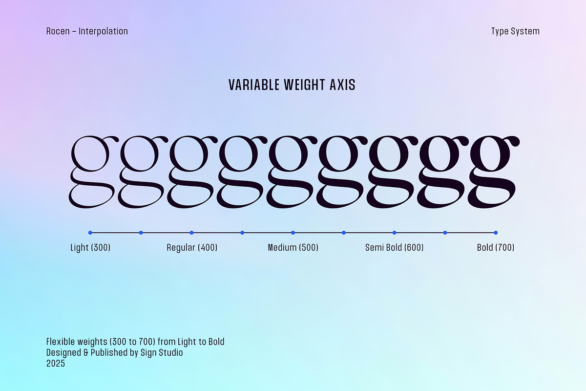 Rocen VF - Variable Display Serif, a Serif Font by Sign Studio (Photo 2 of 16)