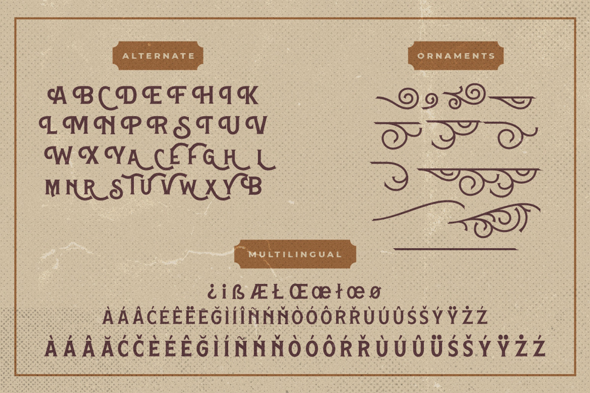 Hamston Display Vintage, a Sans Serif Font by Creatype Studio (Photo 9 of 10)