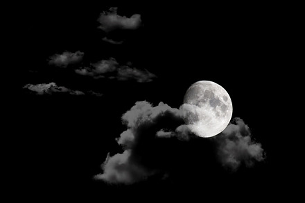 Night Trees preview 6