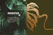 Monstera Ink Brush Botanical Vector, a Decorative Illustration by Momosama Studio (Thumbnail 4 of 9)