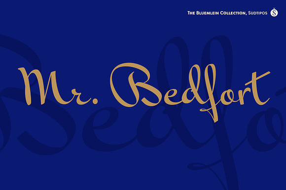 Mr Bedford Pro preview 7