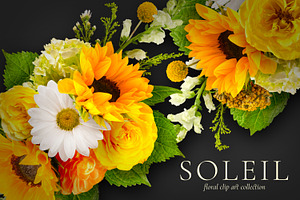 Soleil Floral Patterns & Clip Art