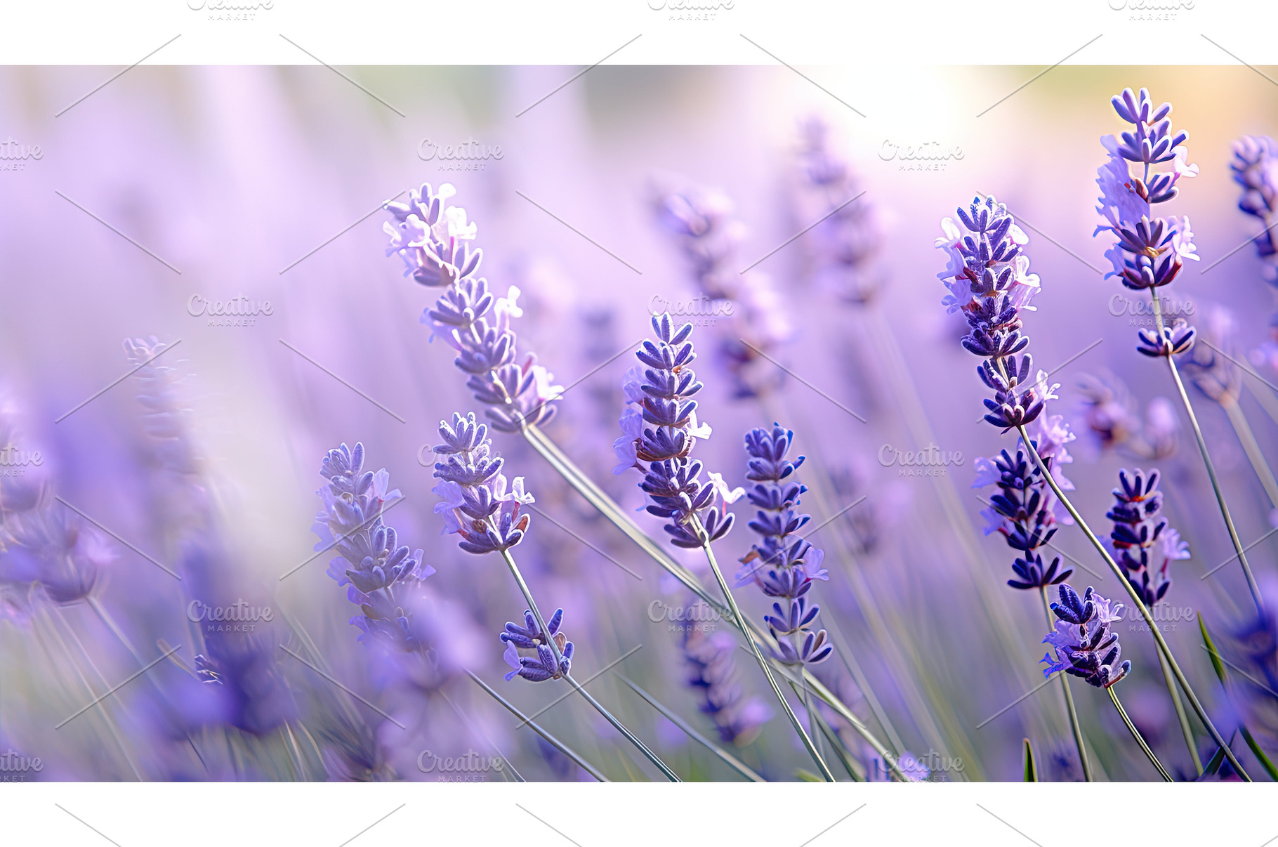 purple lavender flower ai generated, a Nature Photo by pikepicture