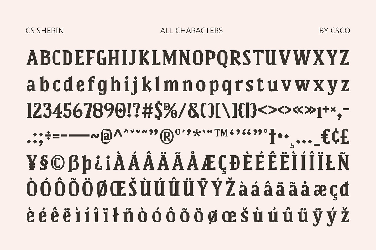CS Sherin – Bold Font, a Serif Font by Craft Supply Co. (Photo 8 of 8)