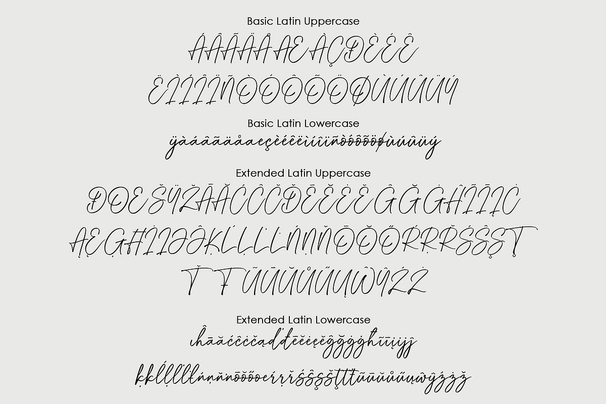 Through Script, a Script Font by moriztype (Photo 9 of 11)