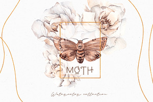 Moth. Watercolor And Graphic.