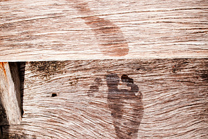 Wet Feet Prints, a Background Photo by THP Creative