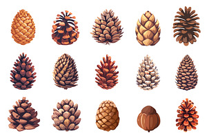 Fir Or Pine Cones Set. Pinecones