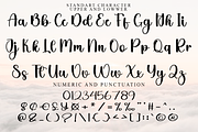 Autumn Sunshine, a Handwritten Font by FreshTypeINK (Thumbnail 5 of 8)