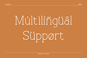 Blissful - Modern Stylish, a Serif Font by RockboyStd (Thumbnail 9 of 12)
