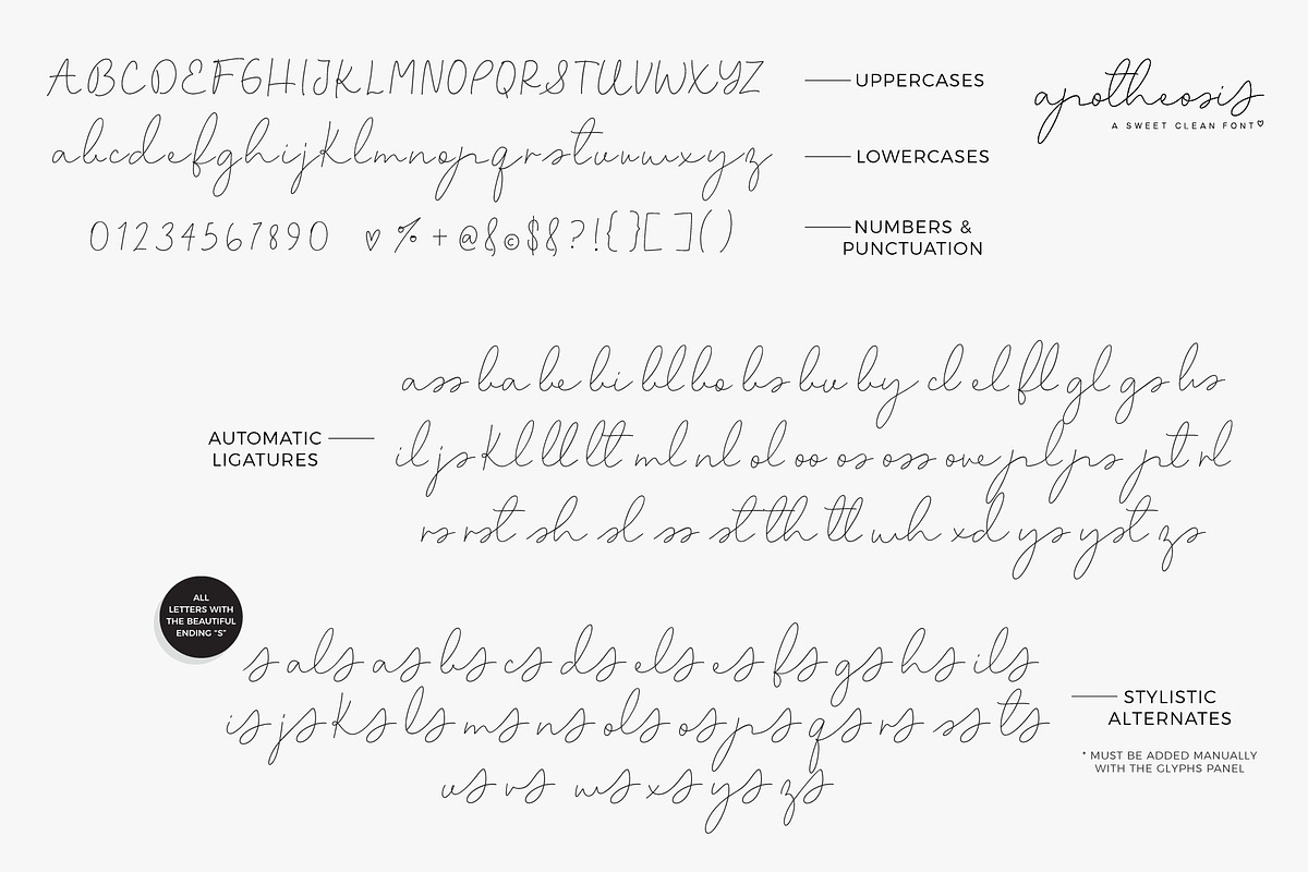 Script Font Apotheosis, a Script Font by pixelcolours (Photo 11 of 15)