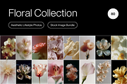 80 Floral Aesthetic Stock Images, a Background Photo by Digital Asset Co (Thumbnail 1 of 9)
