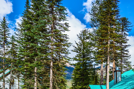 Camping in Yoho National Park, a Nature Photo by kavram