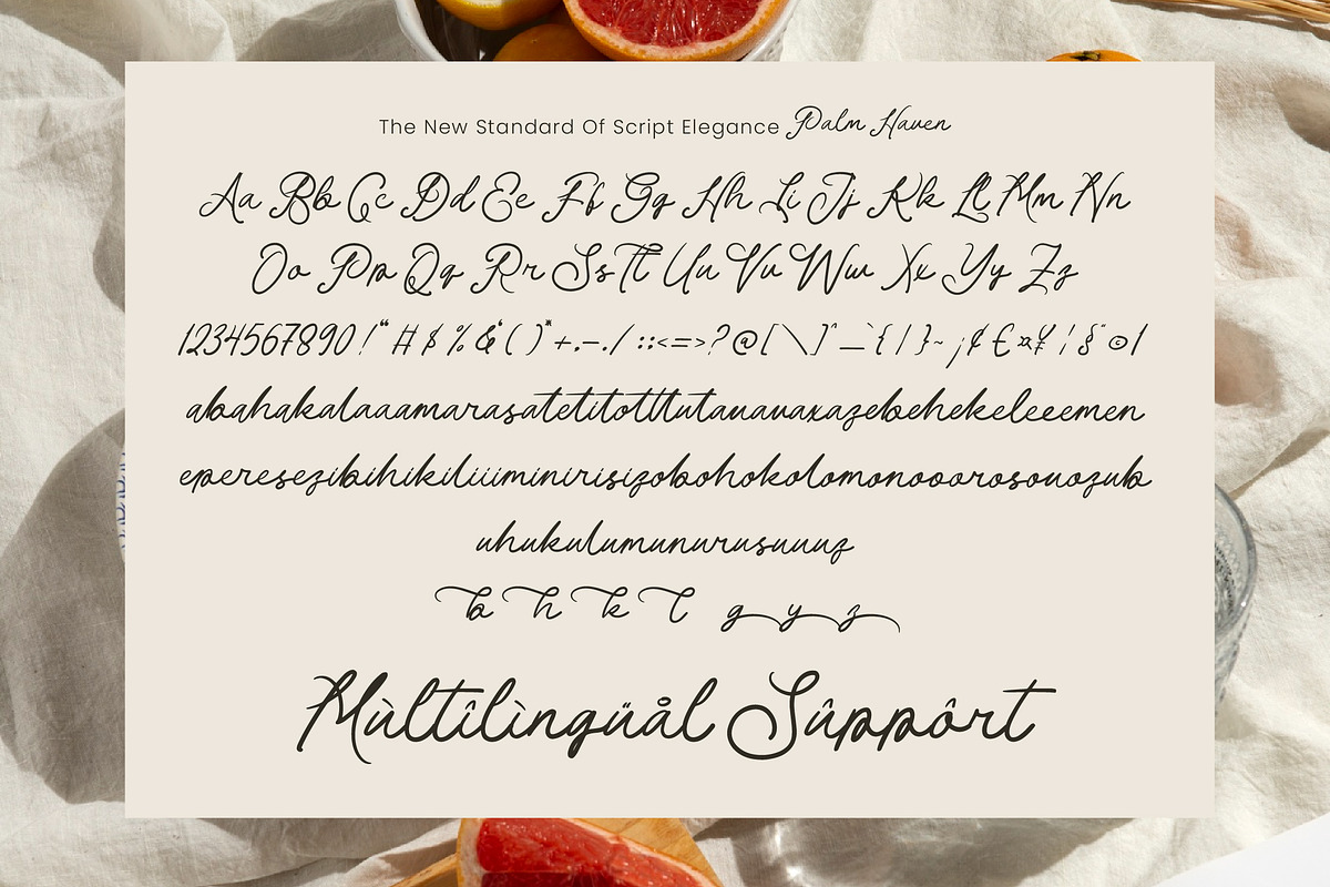 Palm Haven Elegant Handwritten, a Handwritten Font by AmorfaType (Photo 8 of 8)