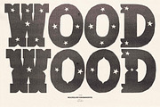 ShowBill Hand Drawn Western Font, a Slab Serif Font by Madeline ODonoghue Design (Thumbnail 9 of 10)