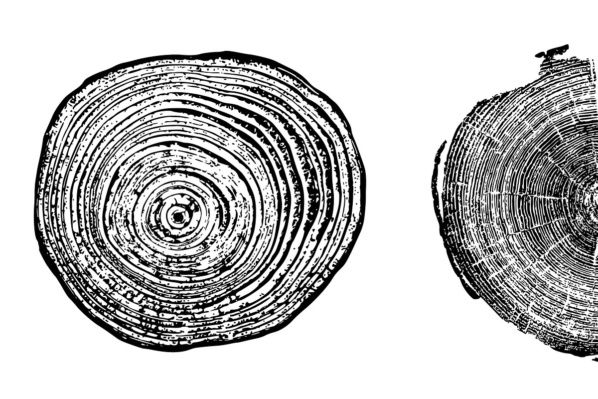 Woodlog Vector Template [iii], an Object Illustration by 103cia (Photo 3 of 3)