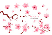 Realistic sakura, a Decorative Illustration by inifer (Thumbnail 1 of 3)