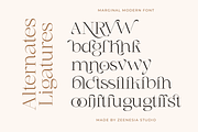 Marginal - A Modern Font, a Serif Font by zeenesia (Thumbnail 18 of 18)