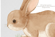 Announcement Clipart and pattern, an Animal Illustration by AlenaVlasko stock Market (Thumbnail 2 of 7)