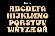 Barta, a Serif Font by Jan-Christian Bruun (Thumbnail 10 of 12)