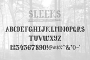 Sleeks Bold Serif, Hand-Drawn TTF, a Serif Font by Drifter Studio (Thumbnail 2 of 3)