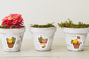Cats in Flowerpots Sticker Pack, an Animal Illustration by natalisart (Thumbnail 4 of 6)