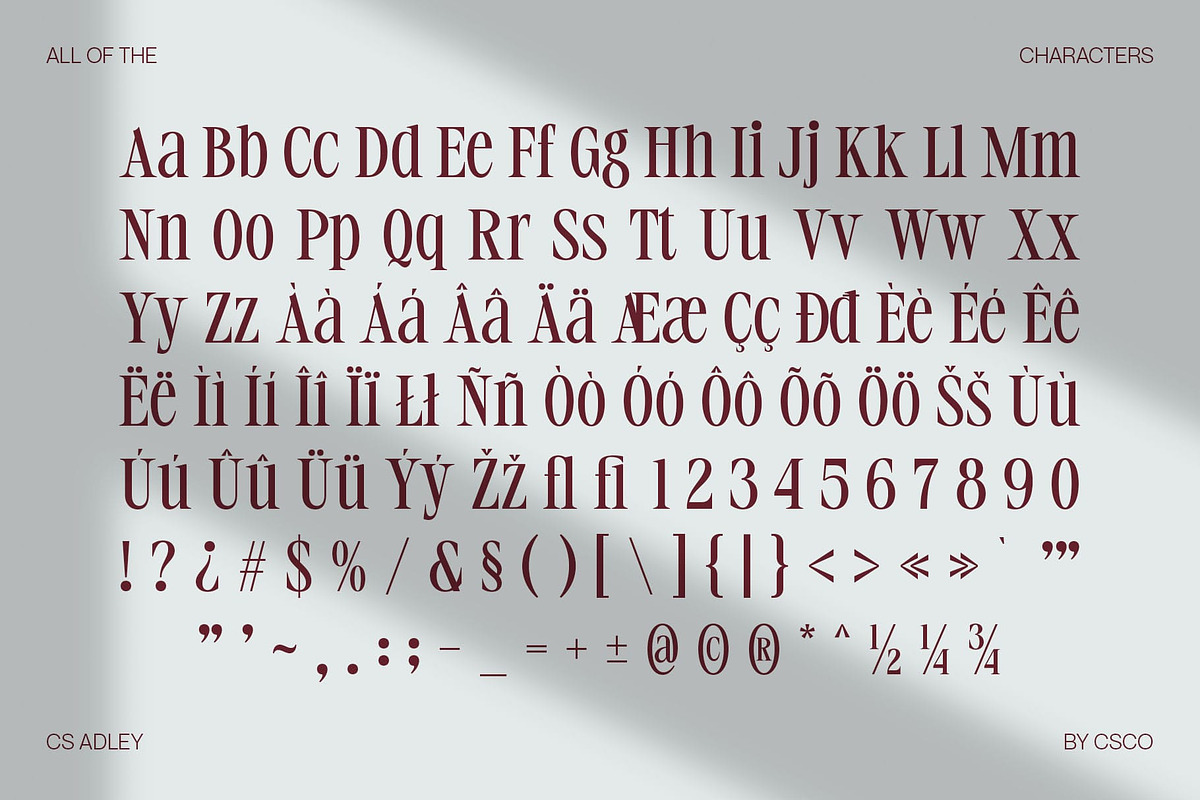 CS Adley – Elegant Font, a Serif Font by Craft Supply Co. (Photo 8 of 8)