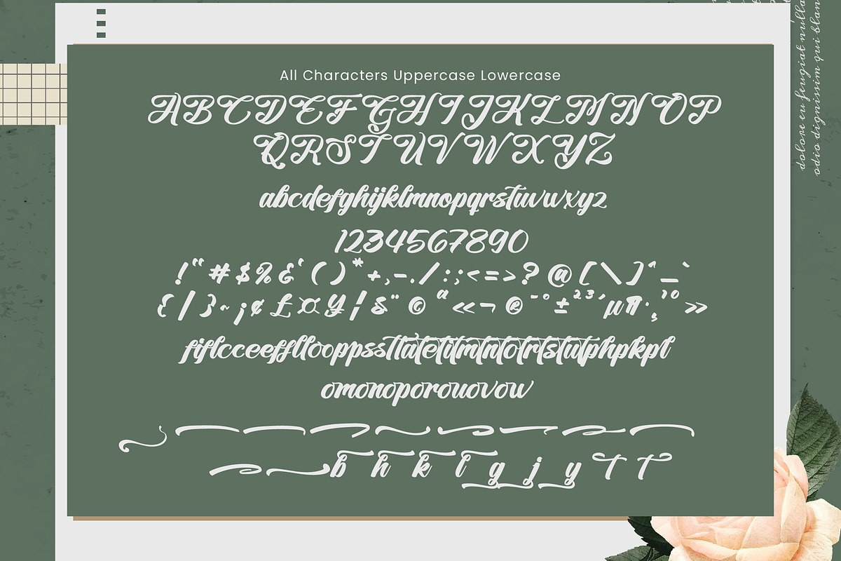Slangtury Bohemis Elegant Bold, a Handwritten Font by operatype.co (Photo 8 of 8)