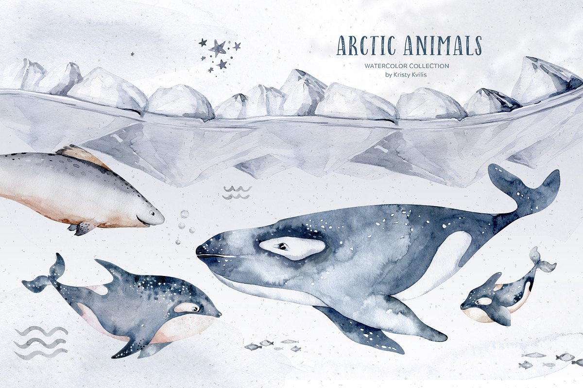 Arctic cute animals.  Watercolor set, an Animal Illustration by Peace ART (Photo 13 of 22)