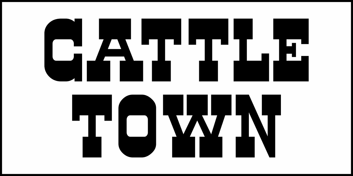 Cattle Town JNL, a Font by Jeff Levine Fonts (Photo 2 of 5)
