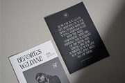 Romanse Afthero || Modern Allkaps Se, a Serif Font by Idea Studio (Thumbnail 2 of 7)