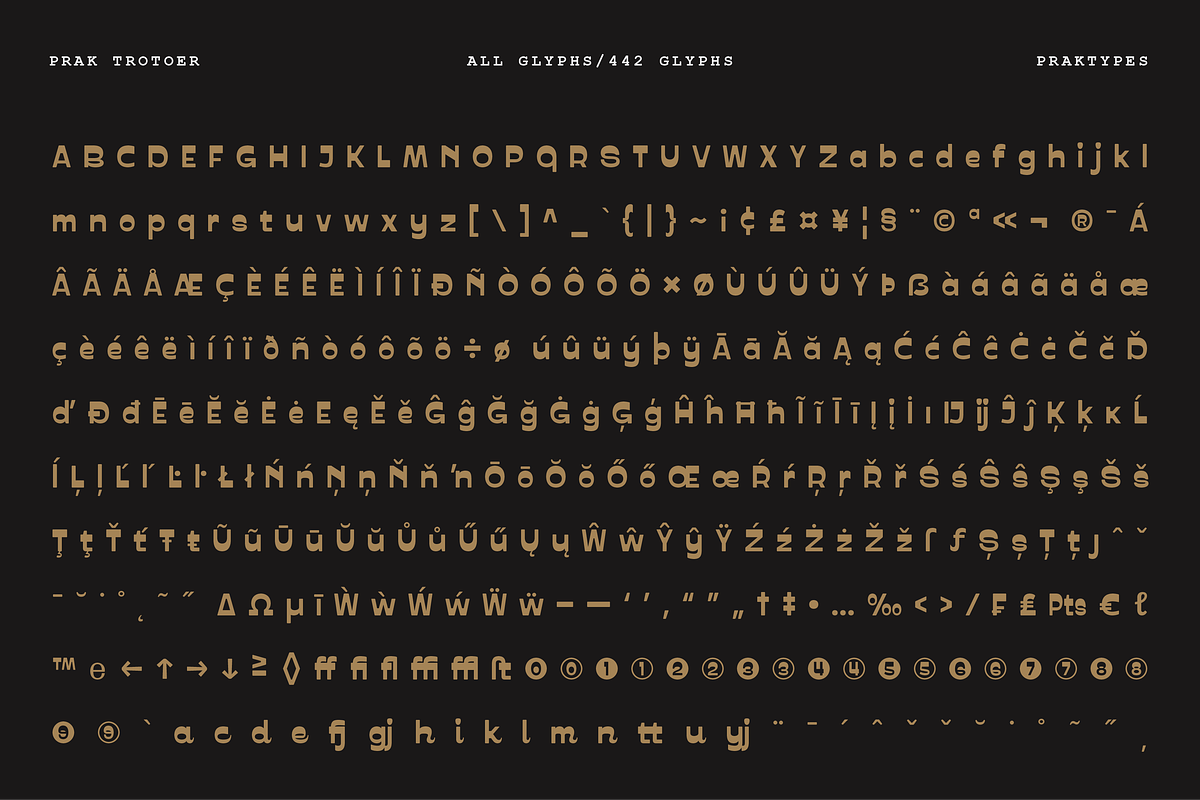 PRAK Trotoer - Vintage Display Font, a Sans Serif Font by Healltica.std (Photo 8 of 27)