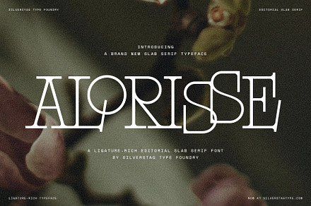 Alorisse – Editorial Ligature Font, a Font by SilverStag Type Foundry