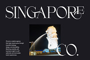 Rakige - Elegant Corporate Ligature, a Serif Font by Sealoung (Thumbnail 2 of 10)