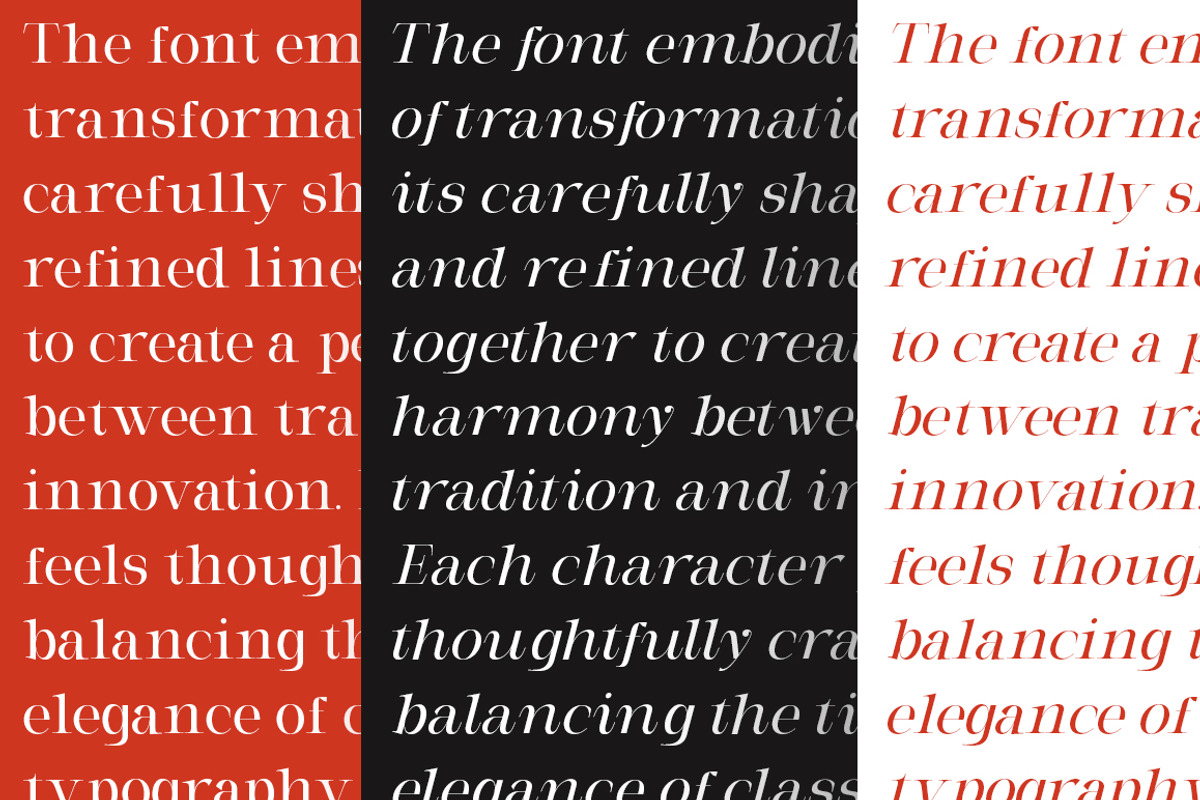 Milghera Serif, a Serif Font by IM Studio (Photo 12 of 12)