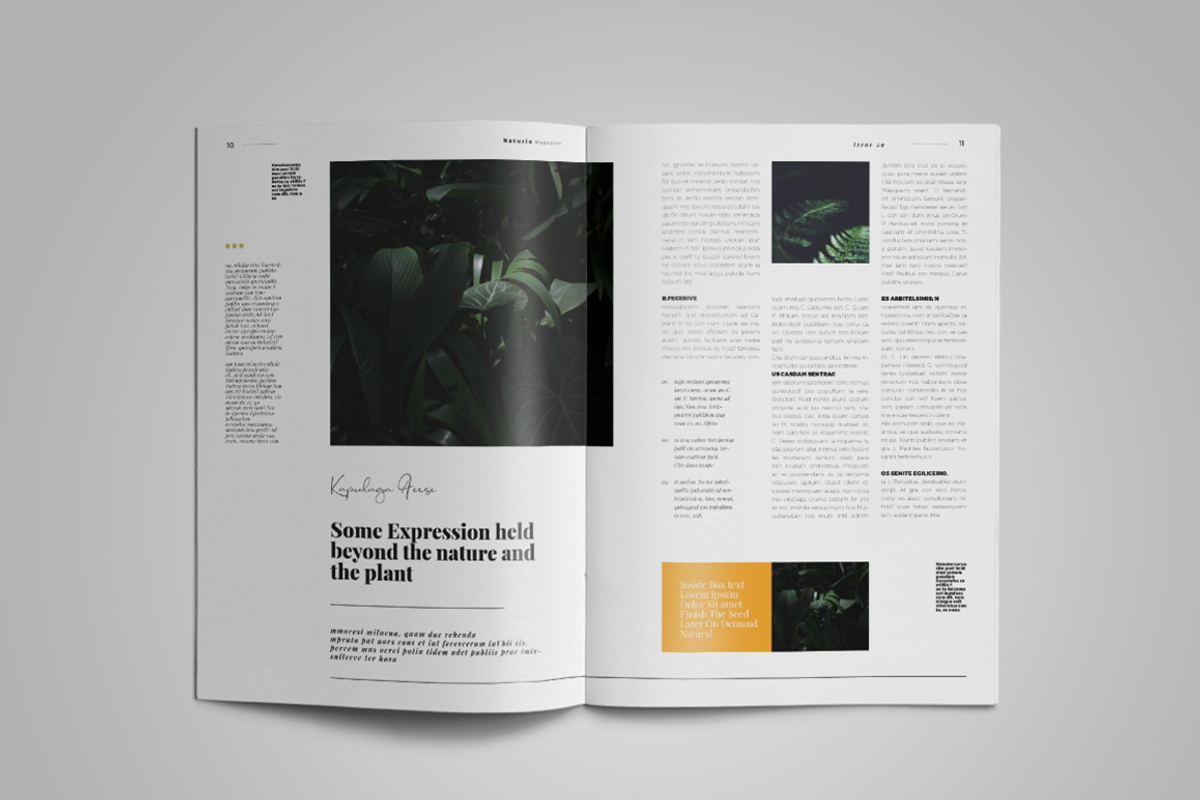 Naturia | Magazine Template, a Magazine Template by spidergraph (Photo 5 of 11)