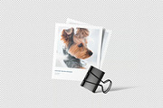 Instant Photo Mockup, an Advertising Mockup by zpackcreative (Thumbnail 3 of 4)